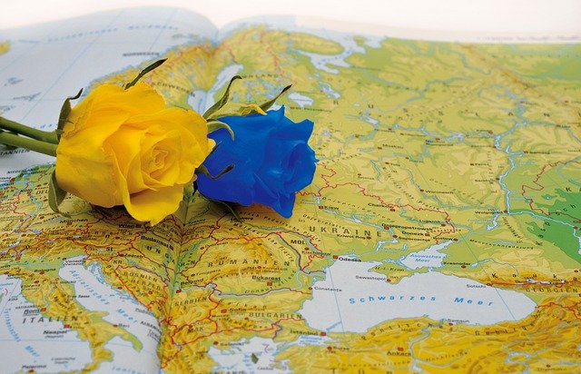 grafika przedstawia mapę europy naniej leżą dwie róże w kolorach żółtym i niebieskim